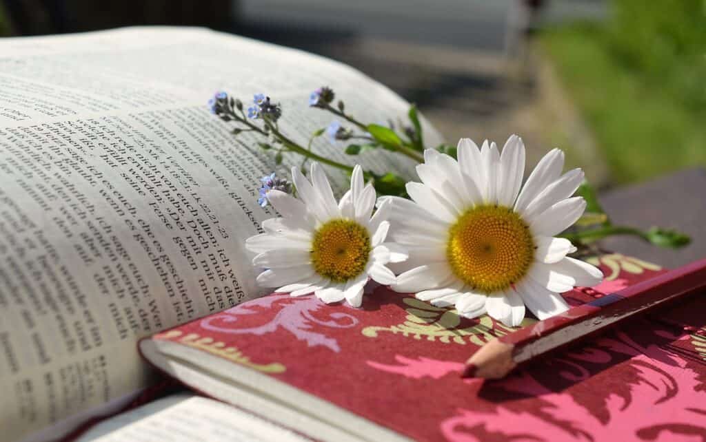 biblia
